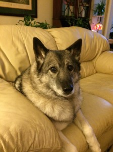 Ol' Bitch Jinx Keeping Ray's Spot Warm