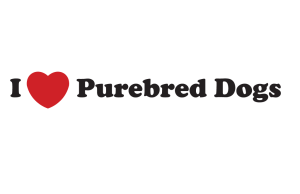 I Heart Purebred Dogs