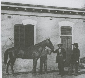 Little Sorrel After General Jackson's Death 