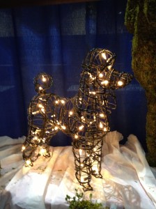 World's Richest Dog? 