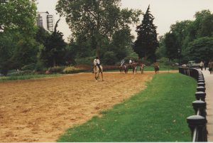 Leaving the group to canter down Rotten Row on Sedrick, a handsome buckskin from Hyde Park Stables