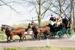 An 1887 Park Drag Brewster Carriage pulled by a team of fine bays