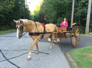 Walk on! My first drive!