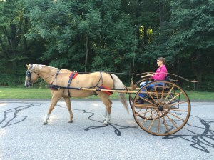 Heading down the road 