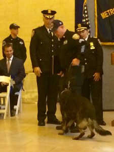 Sgt. William Finucane asked K-9 Vinny to sit to receive his new badge at the MTA Police Canine graduation at Grand Central Terminal