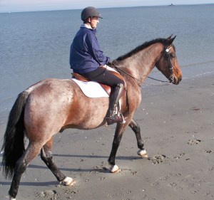 Oz & I off on a beach adventure!