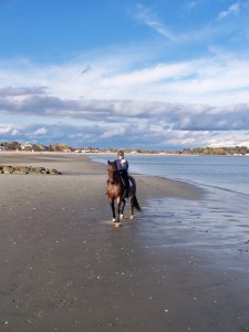 Between land and sea