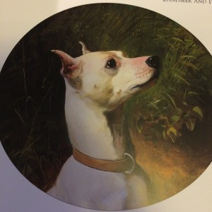 Prince - The White English Terrier - as seen in the George Earl Painting circa 1874