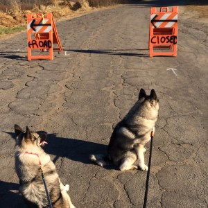 When one road closes...