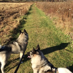 ...another opens up. 